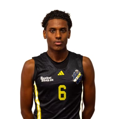 Hossein Abdi