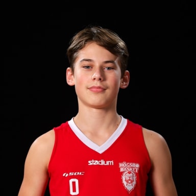 Wille Lundgren
