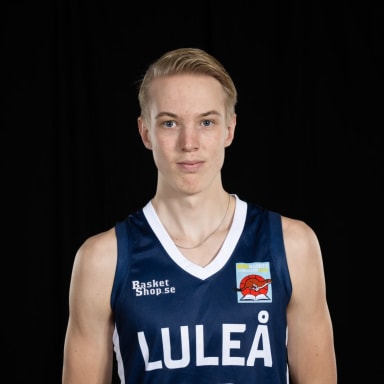 Theo Trygger