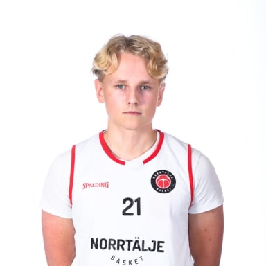 Arvid Flygare