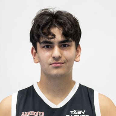 Arman Salehinia