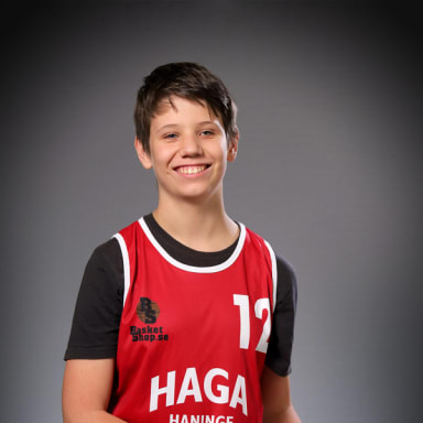 Felix Mellgren