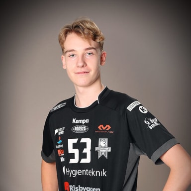 Ludwig Berglund