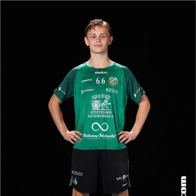 Viggo Steenson