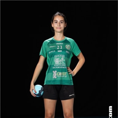 Hevi Celik