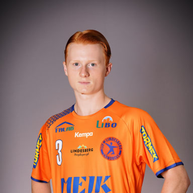 Ludwig Andersson Ahlgren