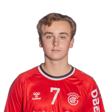 Theo Karlsson