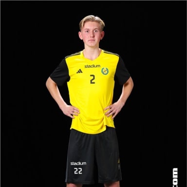 Leo Törnvall