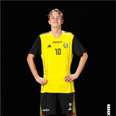 Hugo Hermansson