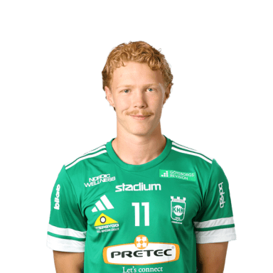 Birk Larsson