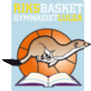 RIG Luleå logo