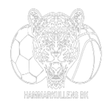 Hammarkullens Basket logo