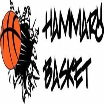 Hammarö Basketklubb P10 logo