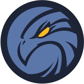 Tidaholm Falcons Basketklubb logo
