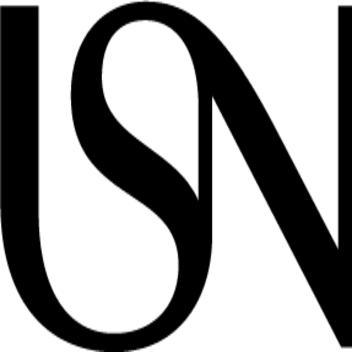 USN logo