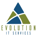 EvolutionIT Services