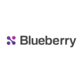 Blueberry Consultants