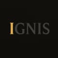 Ignis Agency