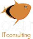 Opah It Consulting 