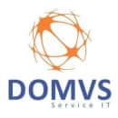 Domvs Service IT