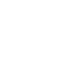 Pro Franchising