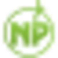 Logo NoPing Tunnel