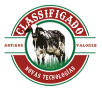 Logo Classifigado