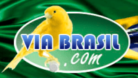 Logo Via Brasil