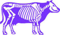 Logo Purple Cow