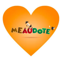 Logo MeAuDote