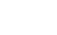 Logo BizStore