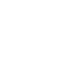 Logo Pro Franchising