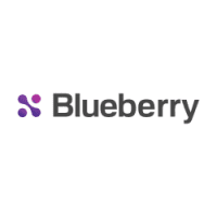 Logo Blueberry Consultants