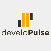Logo develoPulse
