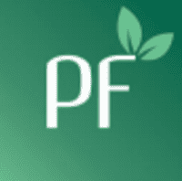 Logo Perfect Flight