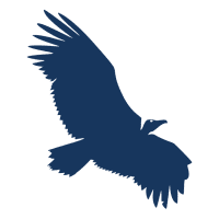 Logo Condor Instruments