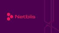 Logo Netbiis