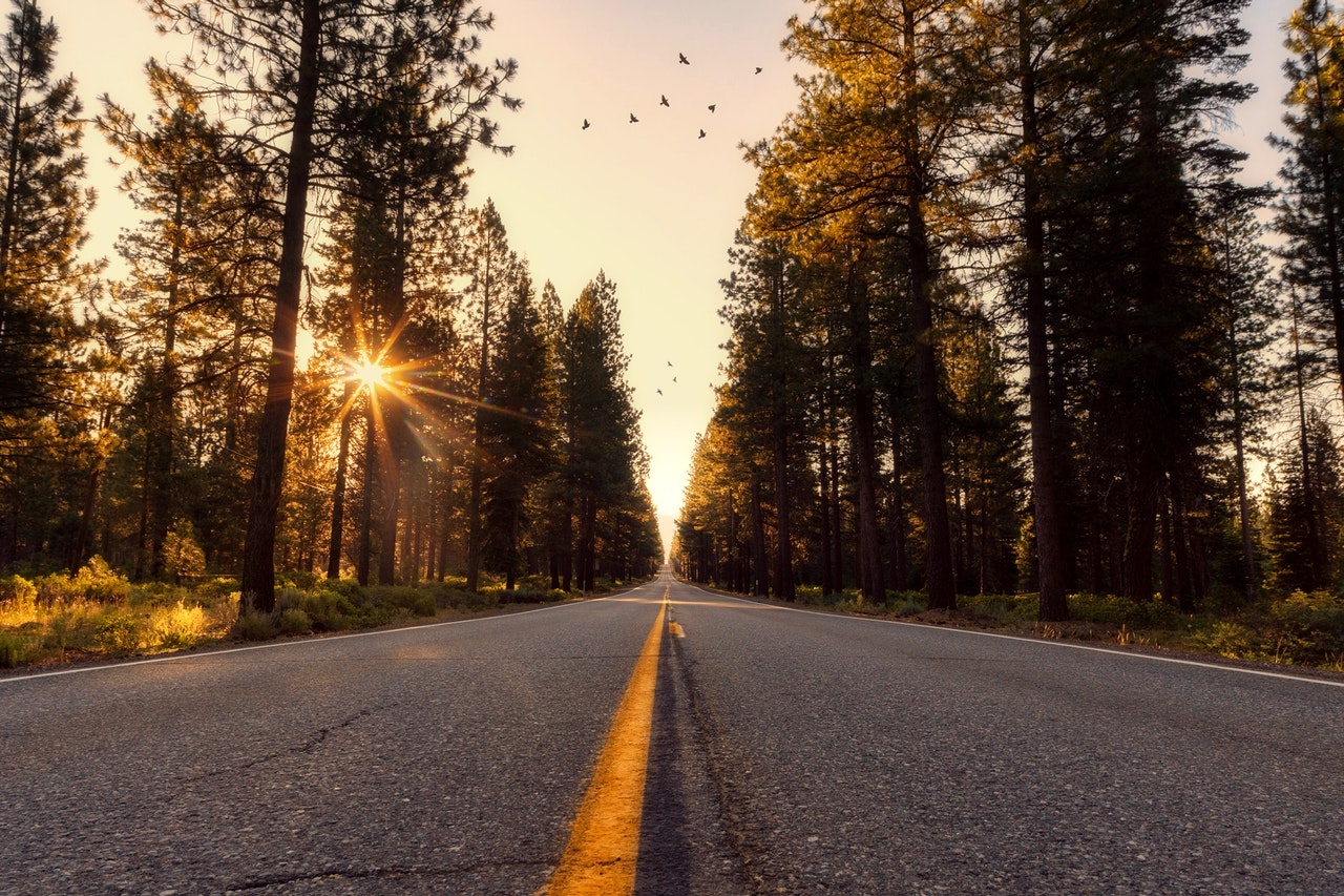 I'm finished with focusing solely on goals. https://res.cloudinary.com/programazing/image/upload/v1610371003/blogposts/2021/Moving%20Forward%20Into%202021/Moving_Forward_Into_2021.jpg