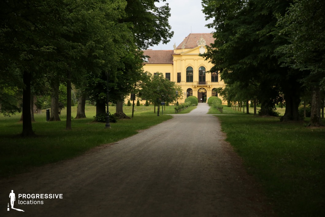 A long, unpaved pathway leads through a lush, tree-lined avenue to an elegant, yellow-hued manor with classical architectural detailing. The symmetrical facade, arched windows, and ornate roof elements create a stately presence, enhanced by manicured greenery and neatly trimmed hedges near the entrance. The towering trees frame the scene, providing a natural corridor that guides the eye toward the grand building. This setting is ideal for historical dramas, period films, and aristocratic narratives, offering a refined yet slightly mysterious atmosphere. The pathway’s depth and symmetry make it visually compelling for establishing shots, arrivals, or introspective walking sequences.