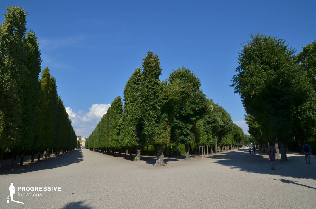 This regal promenade features a perfectly aligned double row of meticulously trimmed trees, creating a strong sense of symmetry and depth. The wide gravel pathways are framed by dense greenery, leading the eye toward a distant classical palace façade. The structured nature of the landscape reflects a formal, aristocratic aesthetic, reminiscent of grand European gardens. The combination of geometric layout, towering trees, and open space makes this an ideal filming location for historical dramas, royal processions, or reflective walking sequences, offering a visually striking and elegant backdrop.
