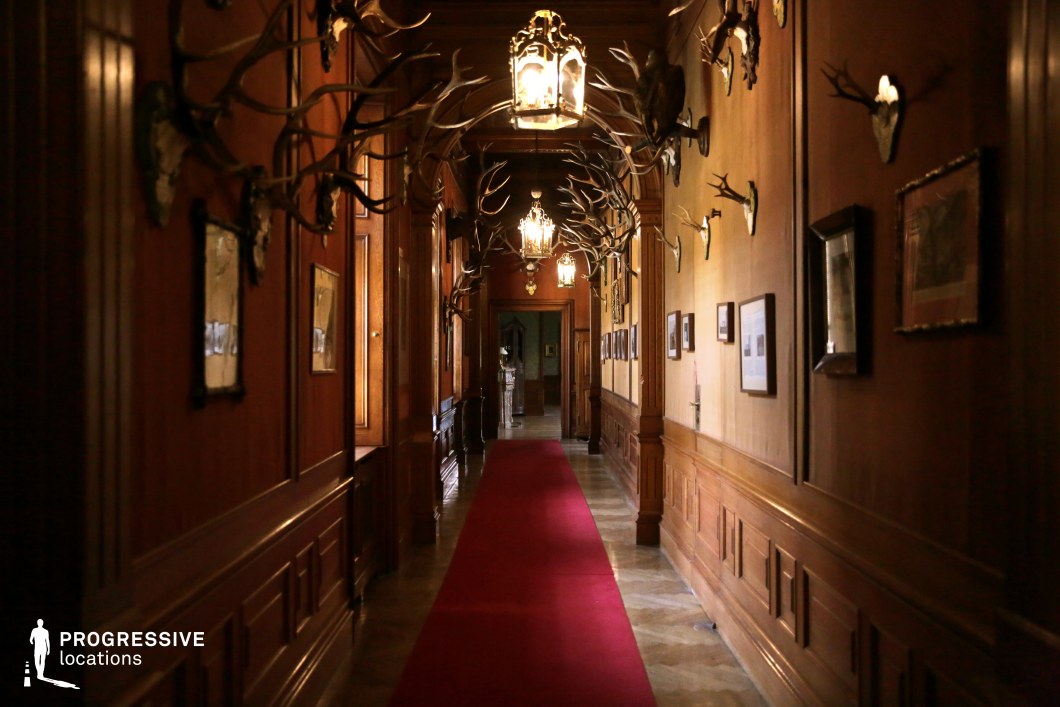 This dimly lit, wood-paneled corridor exudes an old-world hunting lodge ambiance, with mounted antlers arching overhead and lining the walls. The deep red carpet stretches down the length of the hallway, adding a dramatic contrast to the dark wooden tones. Ornate hanging lanterns cast a warm, flickering glow, enhancing the corridor’s mysterious and historical atmosphere. The intricate paneling and framed artwork contribute to the sense of aristocratic tradition. This location is ideal for filming period dramas, mystery thrillers, or gothic-inspired scenes, offering a moody and immersive backdrop for suspenseful or regal narratives.