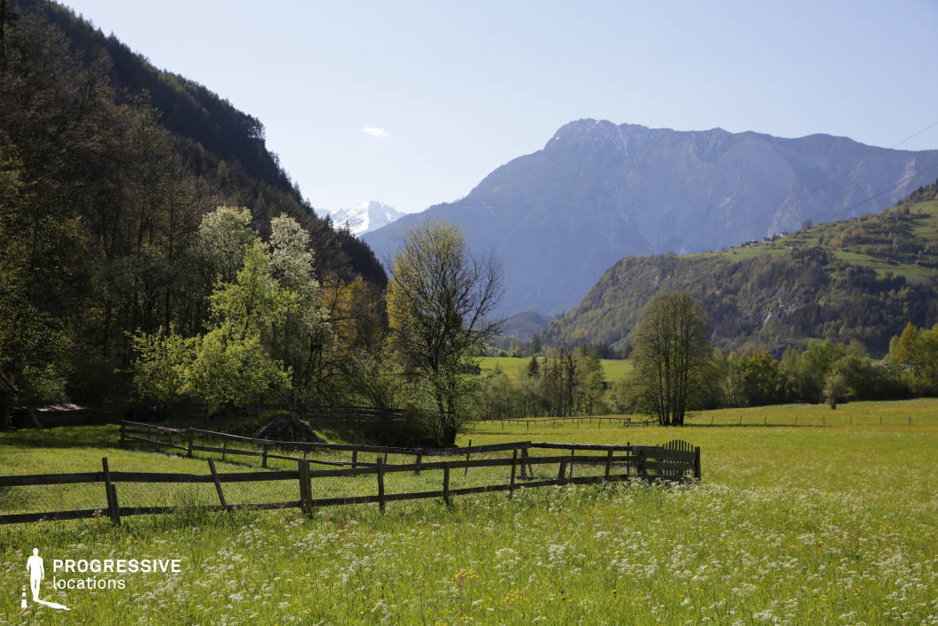 This expansive valley scene features a wide meadow filled with wildflowers, bordered by weathered wooden fences and clusters of deciduous trees. The grassy field stretches toward a backdrop of steep, forested hills and towering mountains, some with rocky, exposed surfaces. The compositional depth is enhanced by the layering of natural elements, from the detailed texture of the foreground flora to the distant alpine ridges. The dominant green palette, punctuated by natural wooden structures and soft tree canopies, evokes a peaceful, pastoral atmosphere. The elevated background includes snow-tipped peaks, introducing visual contrast without overpowering the lush midground. This location is well-suited for nature documentaries, period dramas, or tranquil rural sequences, offering a versatile and serene environment with open space and a strong visual connection to the surrounding landscape.