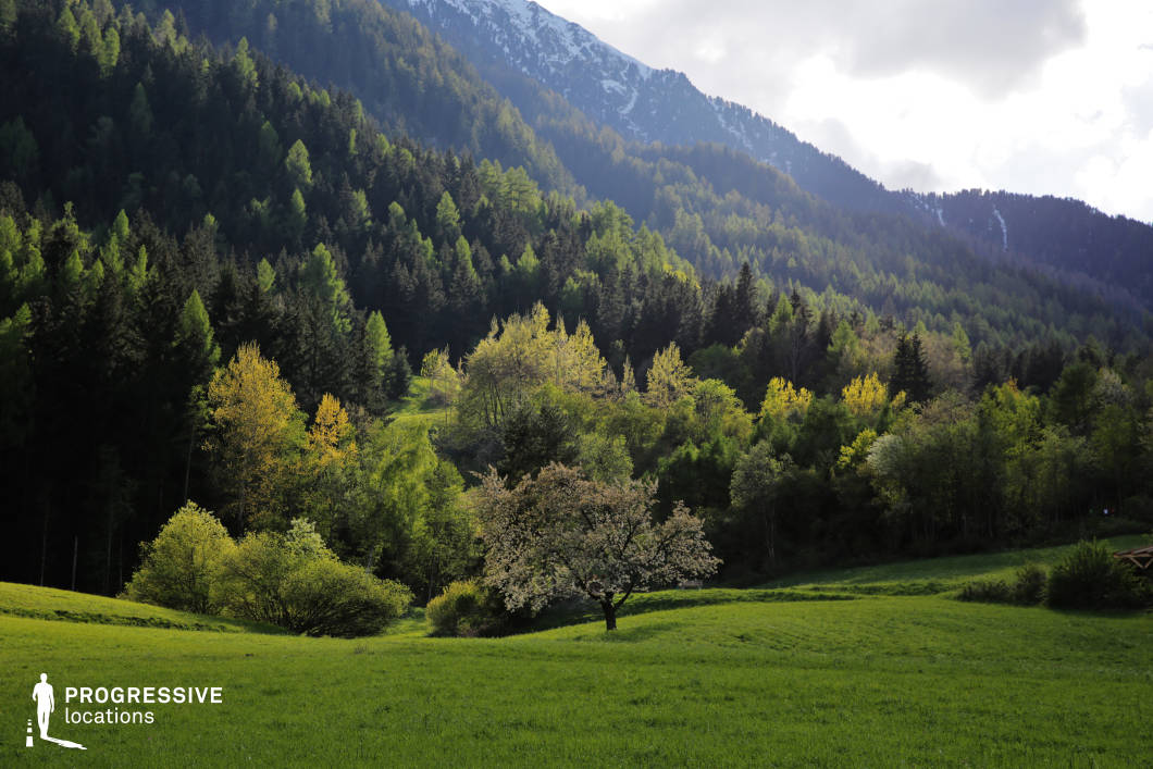 This natural location features a gently sloping meadow bordered by a dense, mixed forest that ascends toward a steep, snow-dusted mountain ridge. The vegetation displays a rich variation of green hues, from light spring tones to deep evergreens, creating a layered and textured backdrop. A single blooming tree positioned near the foreground acts as a visual anchor, adding a focal point to the otherwise expansive natural setting. The transition from open grassland to densely packed trees provides a dynamic interplay between openness and enclosure. The mountains in the background add verticality and dramatic scale, enhancing the overall depth of the landscape. This location is ideal for nature-based shoots, contemplative scenes, or cinematic establishing shots in genres such as historical drama, arthouse films, or environmental documentaries.