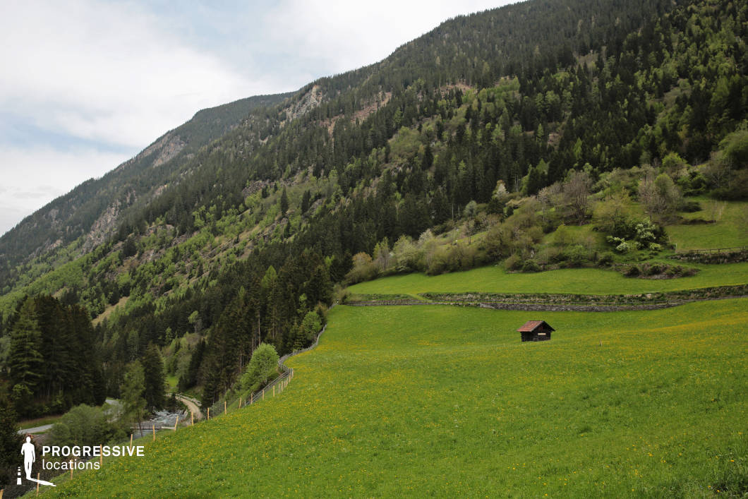 A gently sloping meadow stretches across the foreground, covered in dense, vibrant grass and dotted with wildflowers, while the midground features a small wooden hut with a red gabled roof, creating a striking focal point against the expansive green. Behind the meadow, layered stone walls and mixed vegetation lead into a densely forested hillside, populated with various tree species in rich green tones. The slope transitions seamlessly into steep, wooded mountains that form a continuous natural backdrop. This location's broad visual depth, contrasting textures, and unspoiled tranquility make it ideal for rural, nature-centered scenes in genres such as drama, historical fiction, or contemplative documentaries.