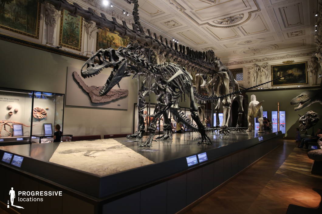 This grand museum hall blends historical elegance with scientific fascination, featuring towering dinosaur skeletons set against an ornately decorated interior. The intricate ceiling moldings, classical paintings, and refined architectural details contrast with the prehistoric skeletal structures, creating a striking juxtaposition between history and natural science. Display cases with fossils and informational panels add depth to the immersive exhibition. The polished wooden flooring and dramatic lighting enhance the ambiance, making this location ideal for filming educational documentaries, mystery thrillers, or scenes involving scientific discovery, offering a visually rich and intellectually engaging setting.