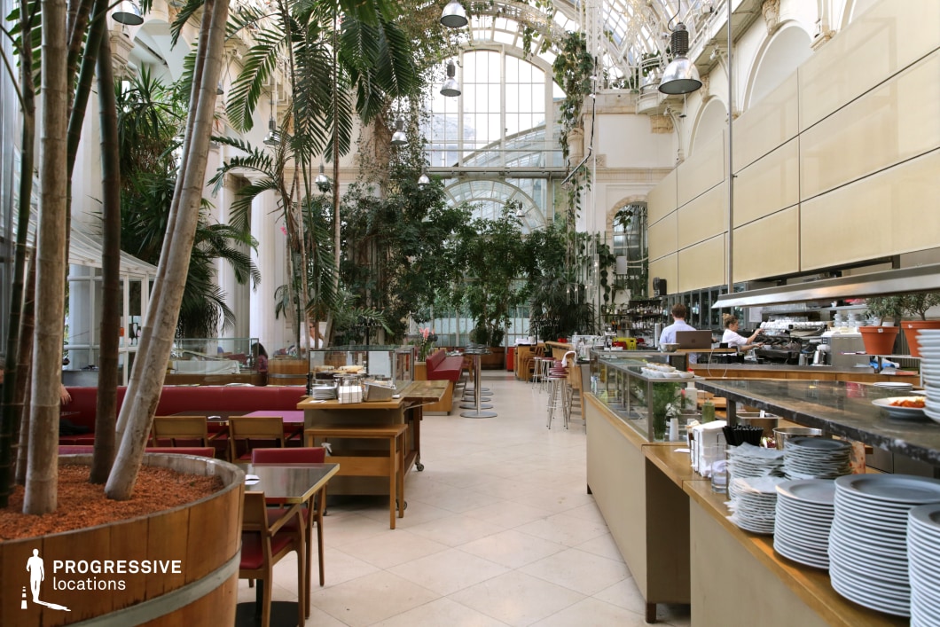 This café is set within a grand conservatory space, defined by its towering glass ceiling and walls that flood the interior with natural light. The atmosphere blends historical elegance with a tropical greenhouse ambiance. Lush indoor palm trees and climbing plants frame the seating area, while large, arched windows and intricate steelwork support the botanical theme. The interior combines modern wood and glass furnishings with classic architectural elements. Tables are arranged along cozy red-upholstered benches and contemporary bar stools line the counter area. This location is ideal for film scenes or photo shoots seeking a unique combination of nature, light, and historic charm with an airy, refined tone.