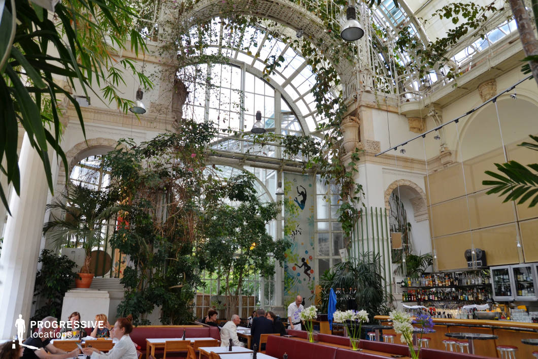 This café is located in an ornate glasshouse featuring a majestic vaulted ceiling and tall arched windows, allowing abundant natural light to filter through the lush greenery inside. The design harmoniously combines classic architectural elements—such as stone archways, decorative cornices, and wrought iron detailing—with a vibrant indoor garden of climbing plants and tall potted trees. The seating area includes simple wooden tables paired with red-upholstered benches, arranged along the length of the airy hall. A sleek modern bar counter lines one side, enhancing functionality without disrupting the romantic, conservatory-like atmosphere. This space is especially well-suited for elegant daytime shoots, botanical-themed productions, or any setting requiring a sophisticated yet relaxed backdrop.