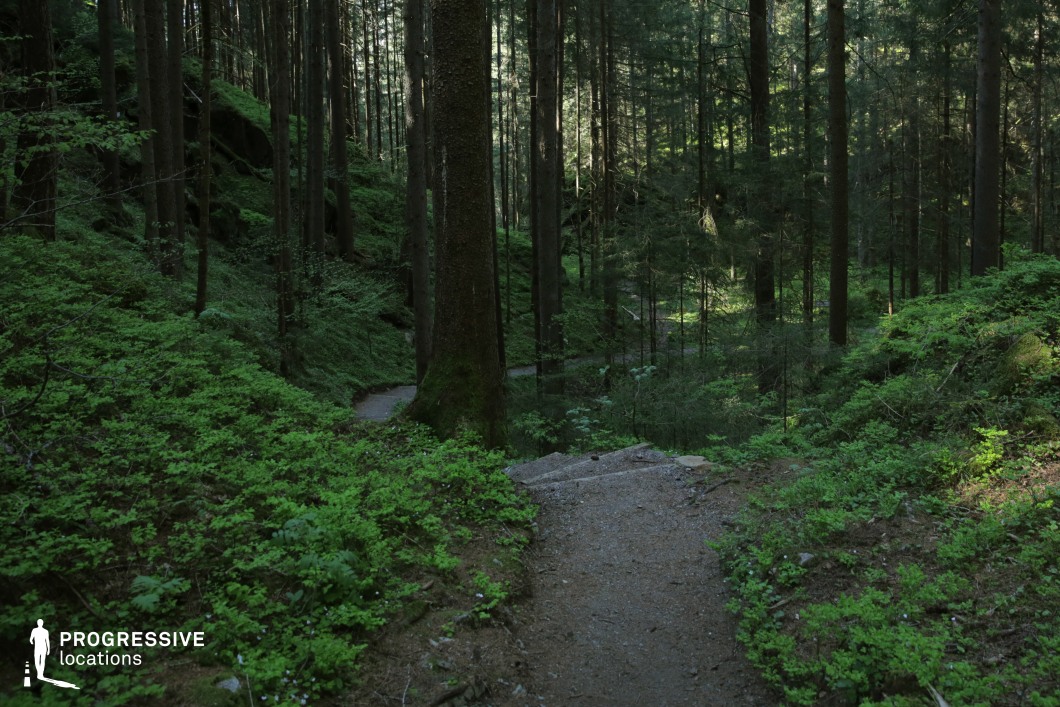 This image captures a quiet forest interior where a narrow, winding path cuts through deep green undergrowth and towering pine trunks. The scene is predominantly shaded, with only faint light filtering through the dense canopy, creating a moody and introspective ambiance. The gradual descent of the path, along with the natural layering of vegetation and trees, adds depth and mystery to the setting. This location is well-suited for filming psychological thrillers, fairy-tale inspired scenes, or suspenseful sequences involving hidden movement, introspection, or escape within a secluded woodland environment.