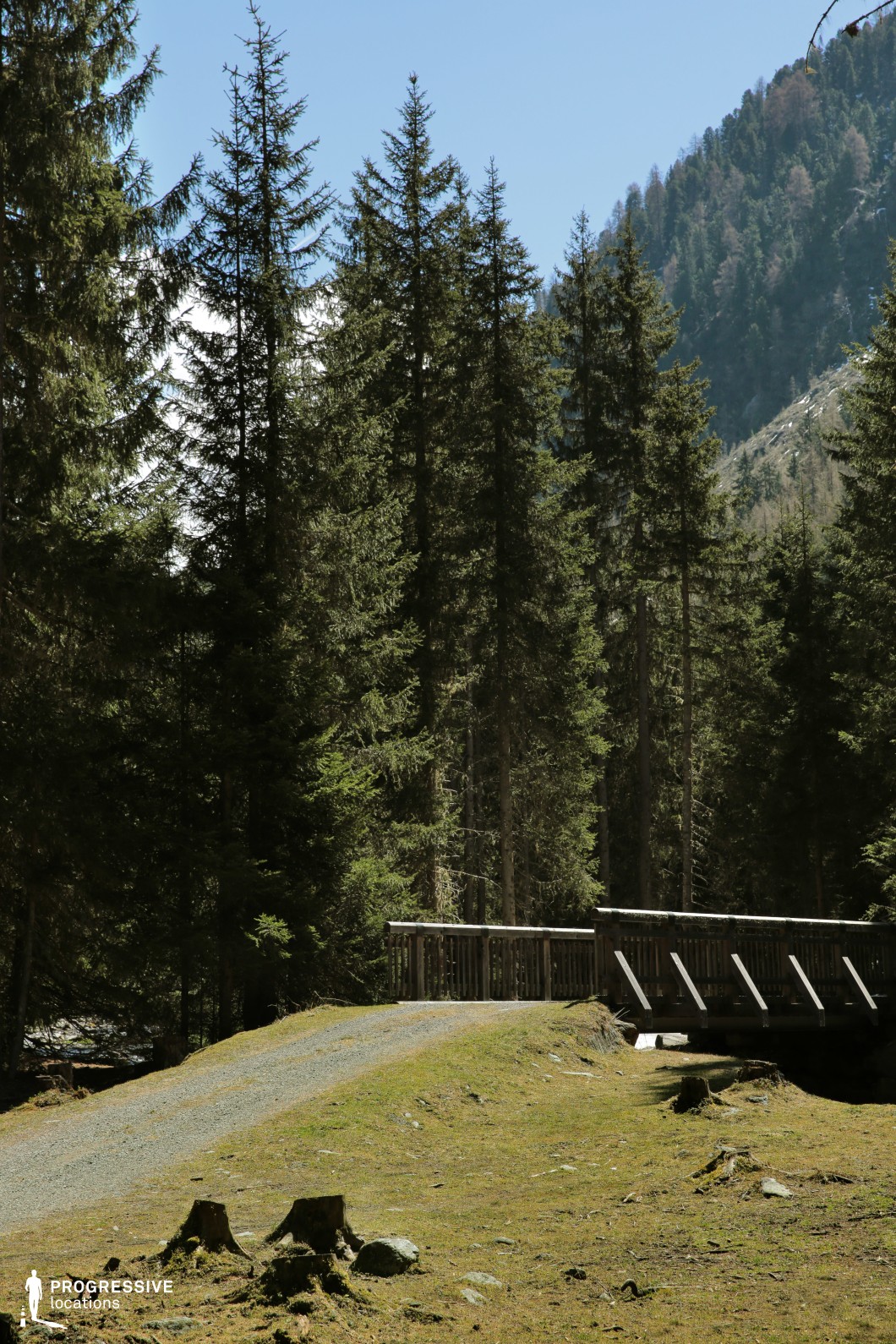 A modest gravel path leads up to a wooden bridge spanning a shallow depression, framed by towering conifers and backed by steep, tree-covered slopes. The clearing around the bridge introduces an open, transitional space between forest and mountain terrain, while the bridge itself provides a strong horizontal element that contrasts with the vertical forest. This location offers excellent visual variety for filming, with natural elevation changes and layered depth ideal for dramatic entrances, contemplative pauses, or journey sequences. It's particularly suitable for fantasy, historical, or adventure scenes requiring a sense of passage or quiet isolation.