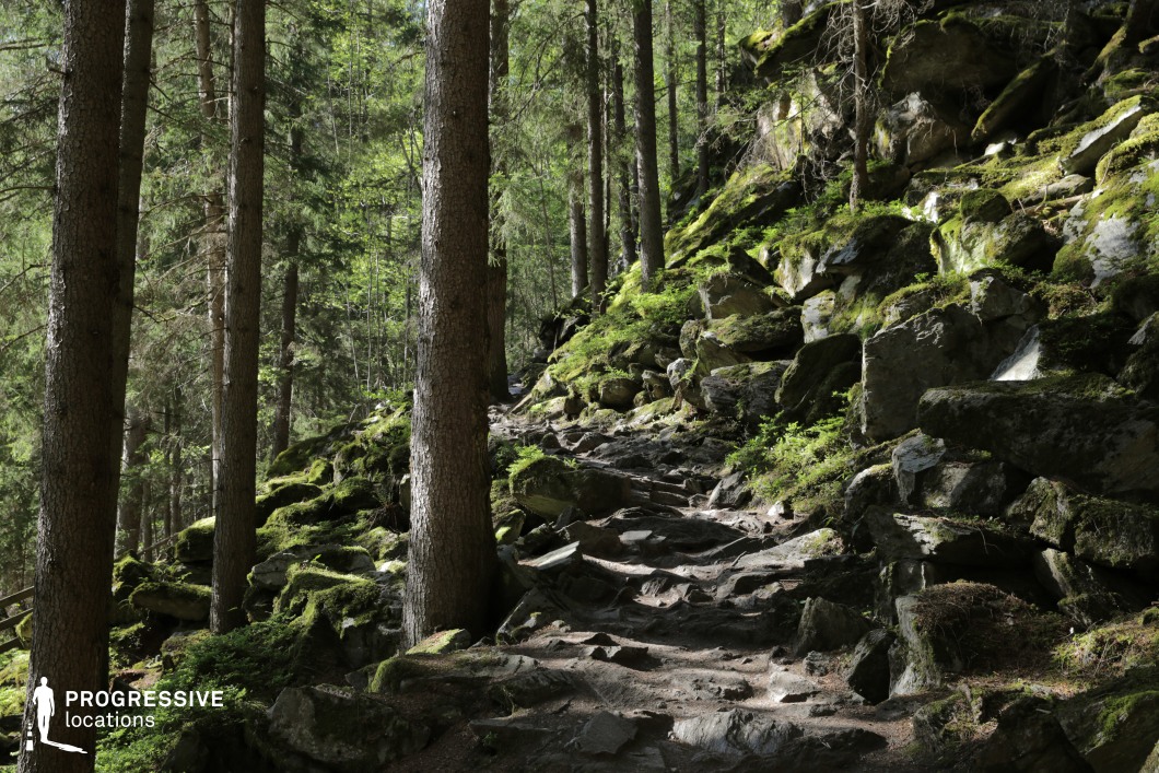 This scene presents a rugged forest trail winding upward beside a steep, rocky slope draped in moss. Tall conifer trunks create a vertical rhythm, while the terrain is uneven and rich with textures from jagged boulders and deep roots. The layering of rocks and greenery evokes a timeless, untouched wilderness that feels both serene and foreboding. This location is ideal for filming due to its immersive natural ambiance and dramatic elevation changes, making it perfect for fantasy, adventure, or survival genres, as well as scenes depicting treacherous journeys, mystical forests, or escape sequences.